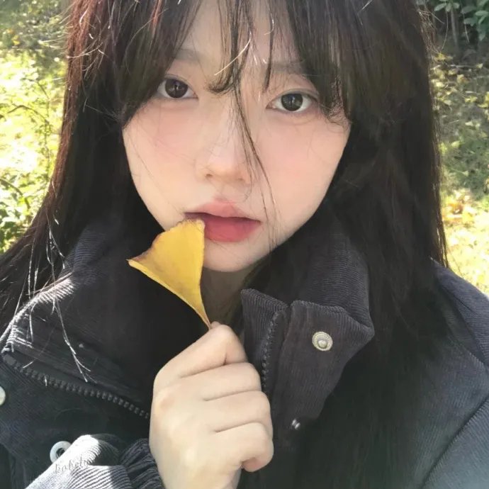 情场新丁